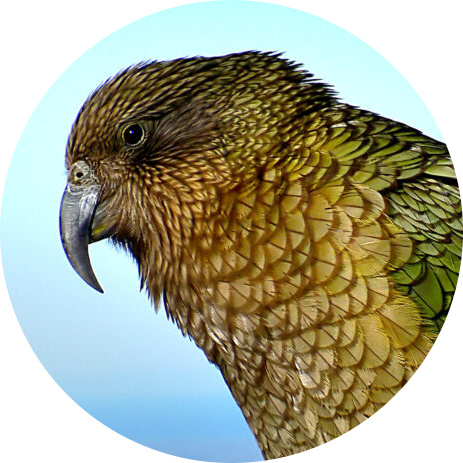Kea